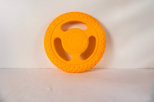 Let's Play - FRISBEE