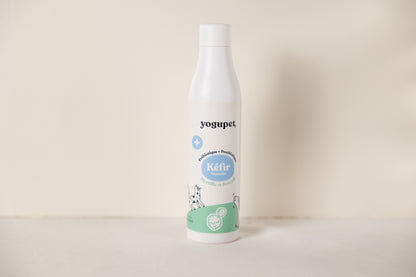 Kéfir carottes-poires chien et chat