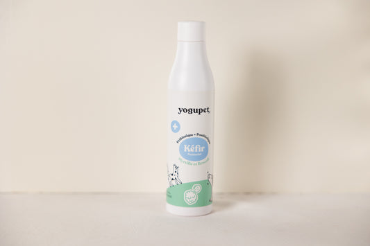 Kéfir carottes-poires chien et chat
