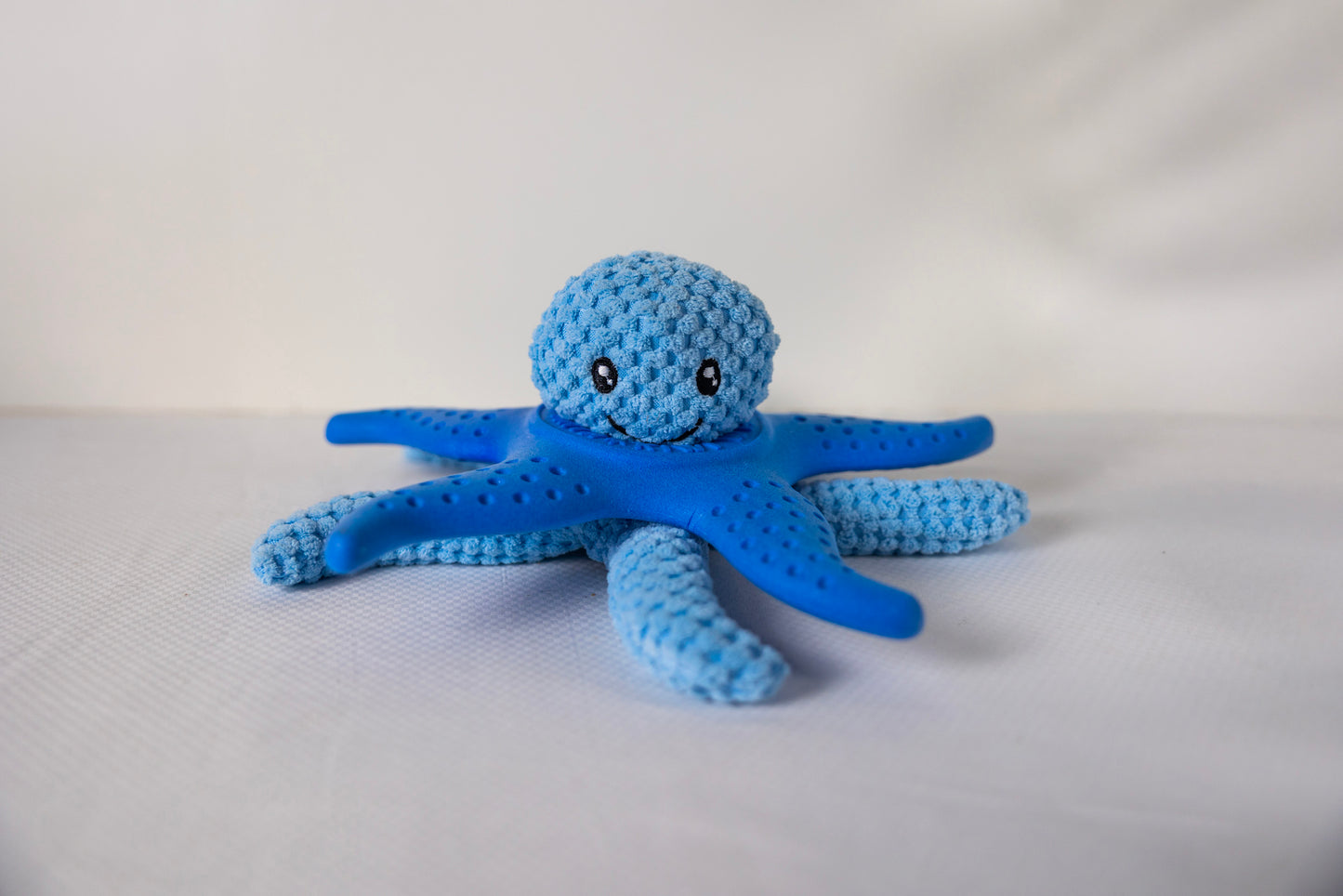 Let's Play - OCTOPUS & STARFISH