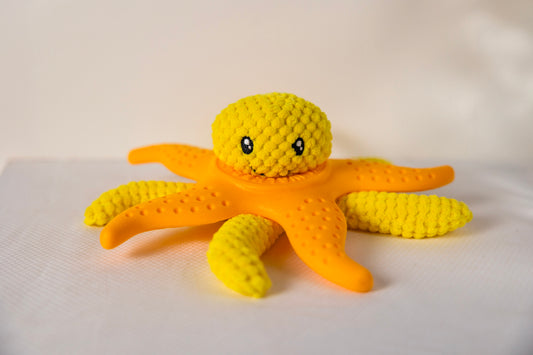 Let's Play - OCTOPUS & STARFISH