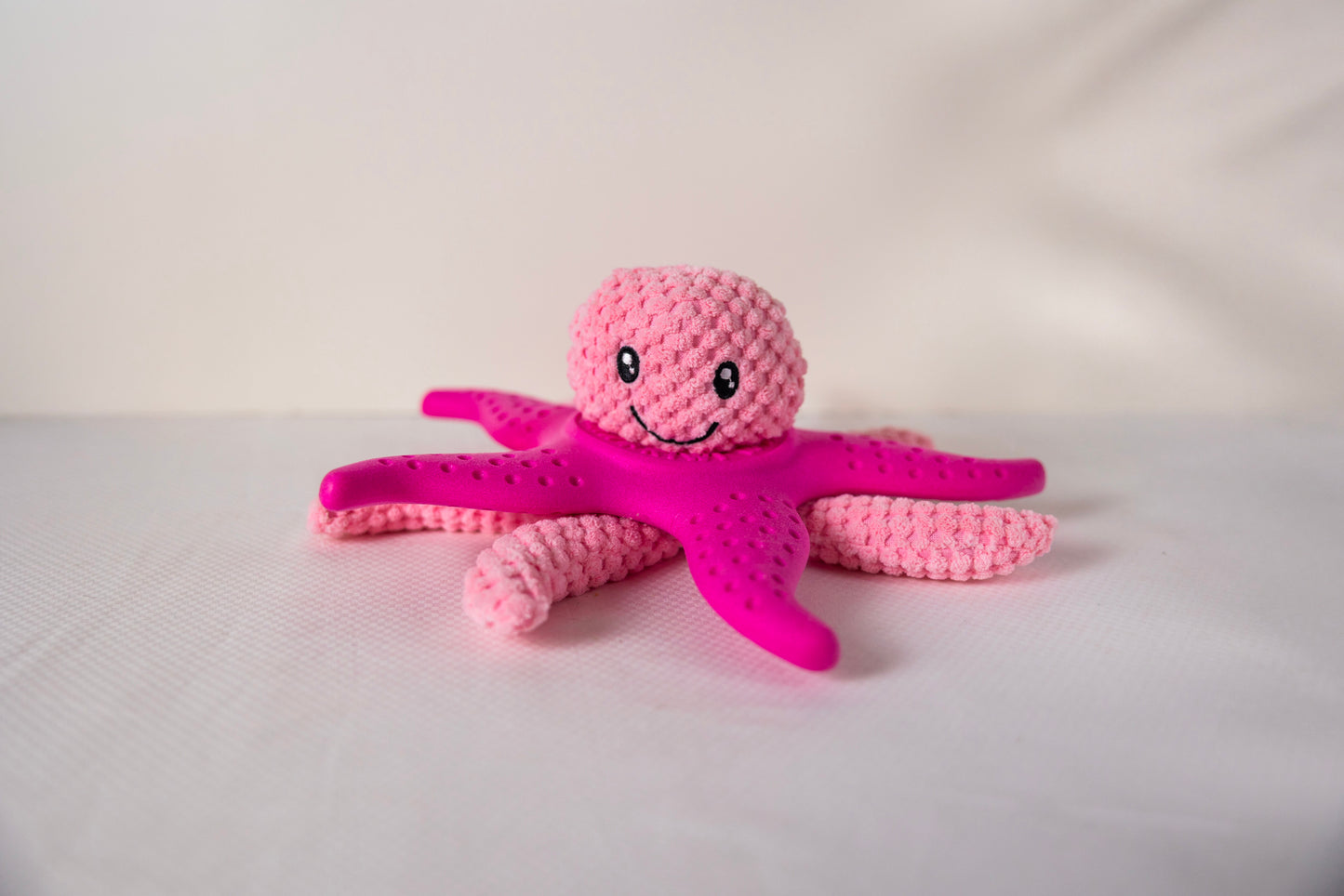 Let's Play - OCTOPUS & STARFISH