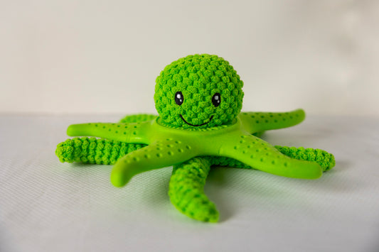 Let's Play - OCTOPUS & STARFISH