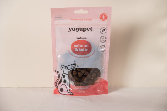 Tender snack saumon et kéfir 100g